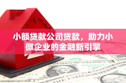 久治小额贷款公司贷款，助力小微企业的金融新引擎