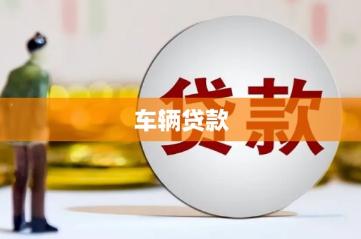 久治车辆贷款