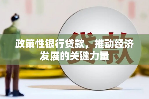久治政策性银行贷款，推动经济发展的关键力量