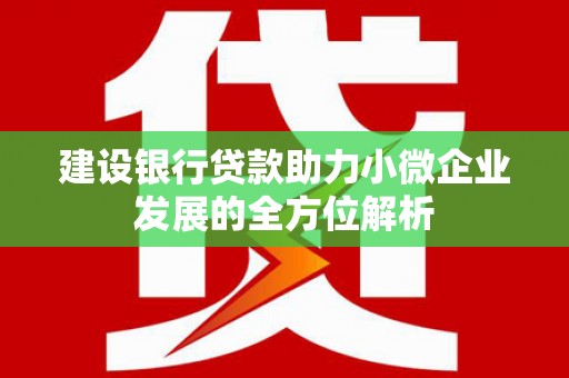 久治建设银行贷款助力小微企业发展的全方位解析