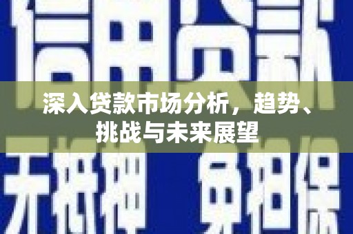 久治深入贷款市场分析，趋势、挑战与未来展望