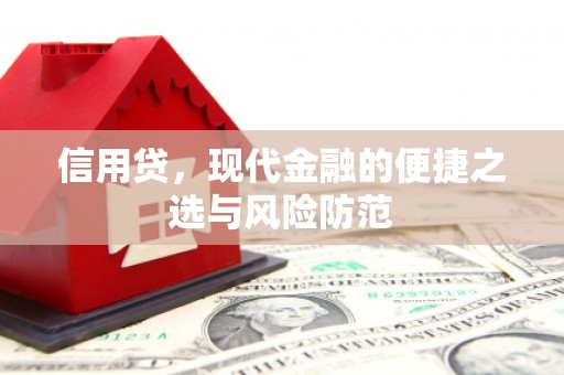 久治信用贷，现代金融的便捷之选与风险防范