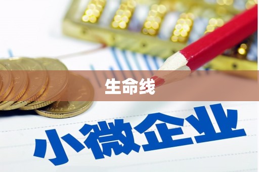 久治生命线