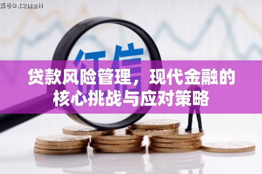 久治贷款风险管理，现代金融的核心挑战与应对策略