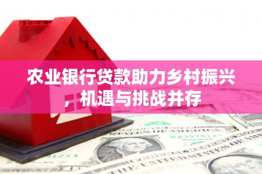 久治农业银行贷款助力乡村振兴，机遇与挑战并存