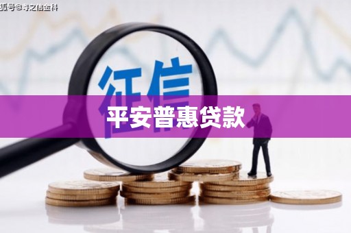 久治平安普惠贷款
