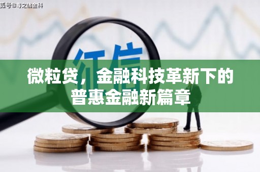 久治微粒贷，金融科技革新下的普惠金融新篇章