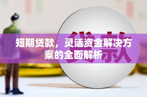 久治短期贷款，灵活资金解决方案的全面解析