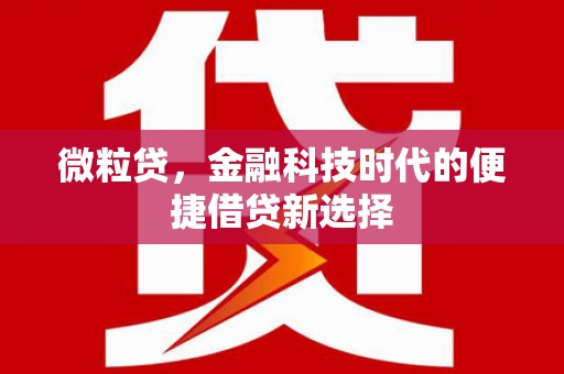 久治微粒贷，金融科技时代的便捷借贷新选择