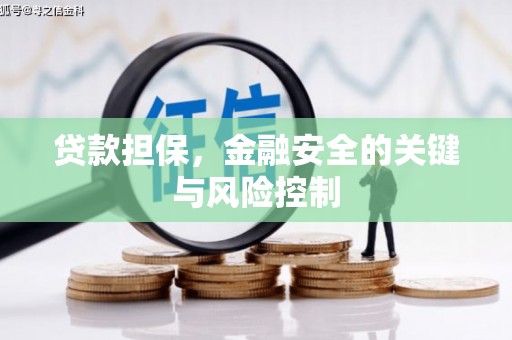 久治贷款担保，金融安全的关键与风险控制