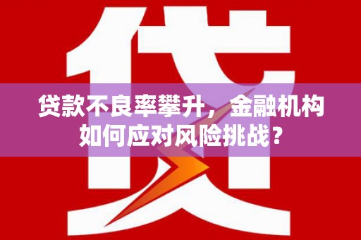 久治贷款不良率攀升，金融机构如何应对风险挑战？