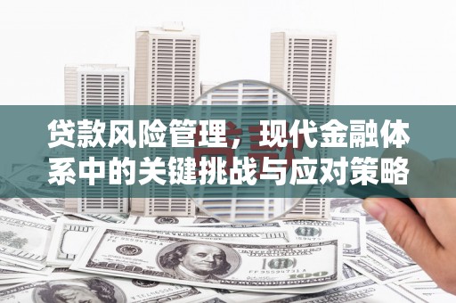 久治贷款风险管理，现代金融体系中的关键挑战与应对策略