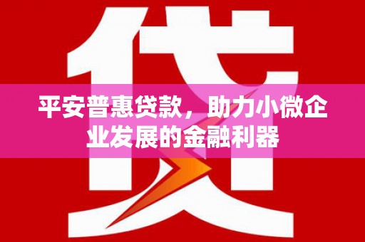 久治平安普惠贷款，助力小微企业发展的金融利器