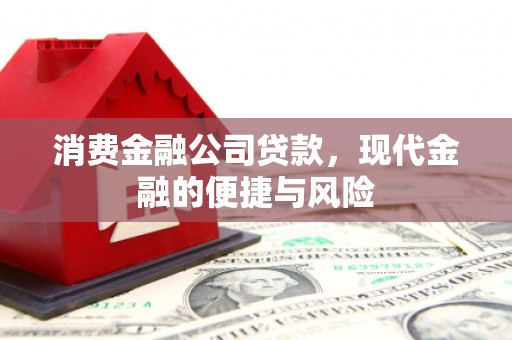 久治消费金融公司贷款，现代金融的便捷与风险