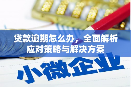 久治贷款逾期怎么办，全面解析应对策略与解决方案