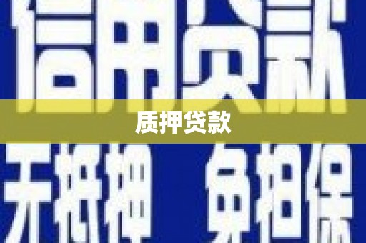 久治质押贷款
