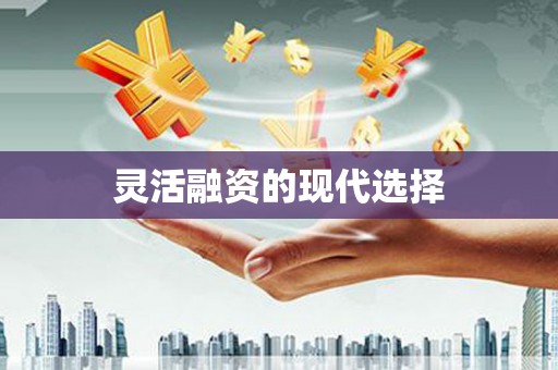 久治灵活融资的现代选择