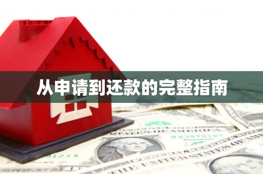 久治从申请到还款的完整指南