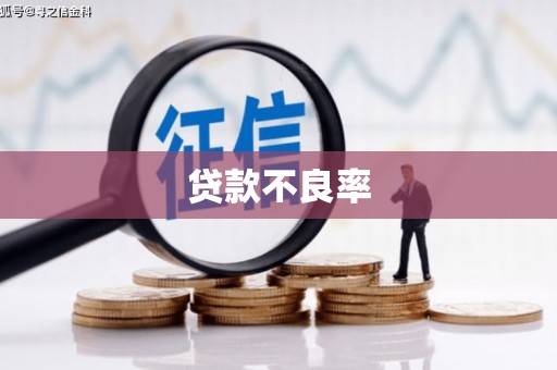 久治贷款不良率