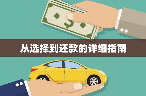 久治从选择到还款的详细指南