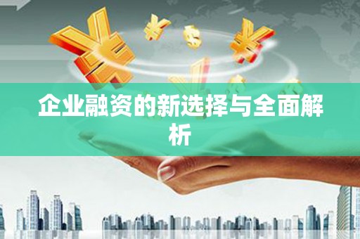 久治企业融资的新选择与全面解析