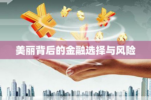 久治美丽背后的金融选择与风险