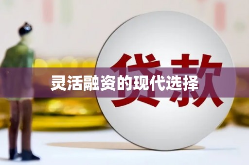 久治灵活融资的现代选择