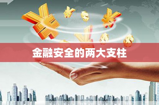 久治金融安全的两大支柱