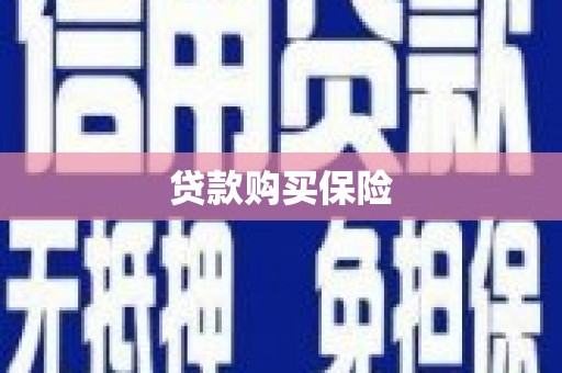 久治贷款购买保险