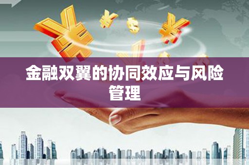 久治金融双翼的协同效应与风险管理