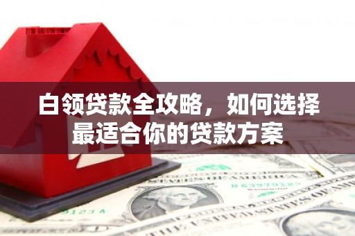 久治白领贷款全攻略，如何选择最适合你的贷款方案