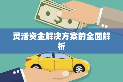 久治灵活资金解决方案的全面解析