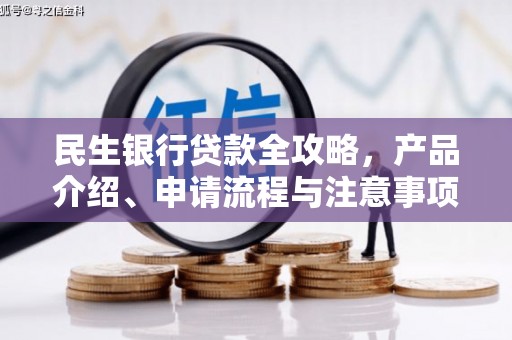 久治民生银行贷款全攻略，产品介绍、申请流程与注意事项